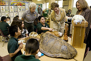 caption from original: Laura Bush, listens to ...