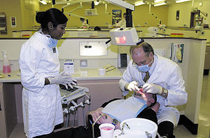 An NHS dentist performing an examination