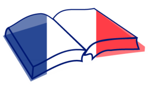 Book icon with the French flag. Book icon with the French flag.