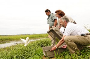 Online Courses for Wildlife Management