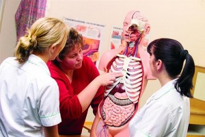 Online Courses for Licensed Practical Nursing