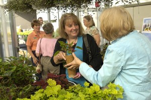 Online Courses for Ornamental Horticulture