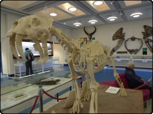 Online Courses for Zoology